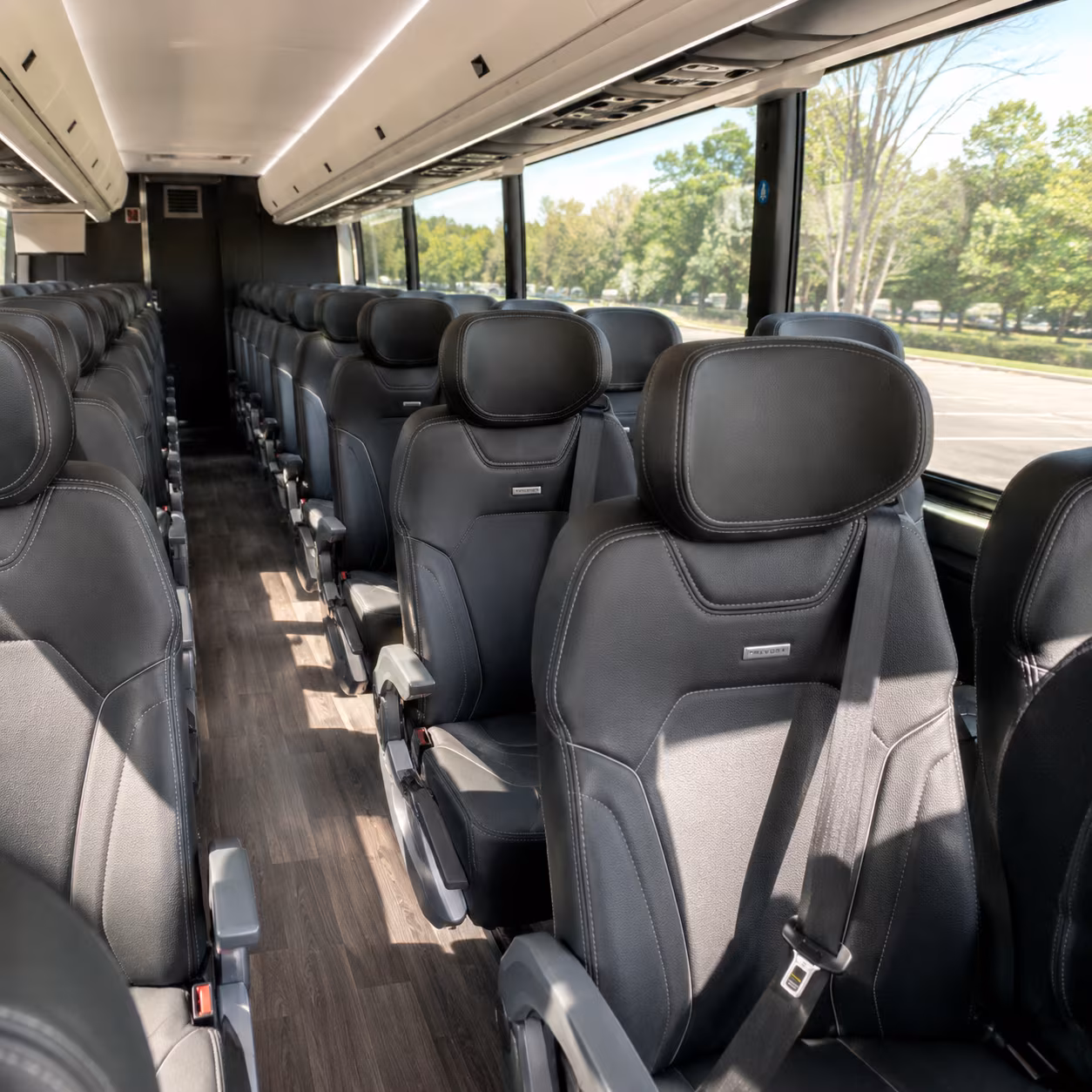 laredo family reunion charter bus rental